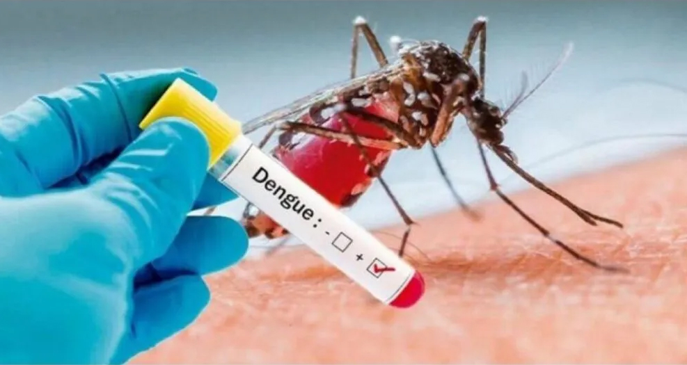 Estabilizada, dengue no município chega a 490 casos positivos – |^|^|  Estância Climática de Santa Rita do Passa Quatro – SP |^|^|